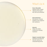 Citrus Body Wash and Lotion Duo