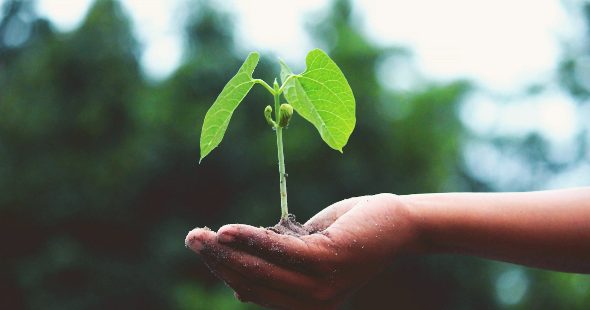 A Simple Guide to Being More Sustainable This Earth Month