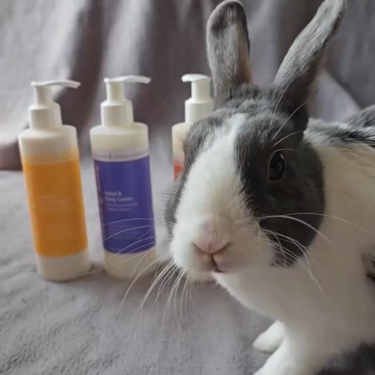 We’re Leaping Bunny Certified; Here’s What That Means to Us