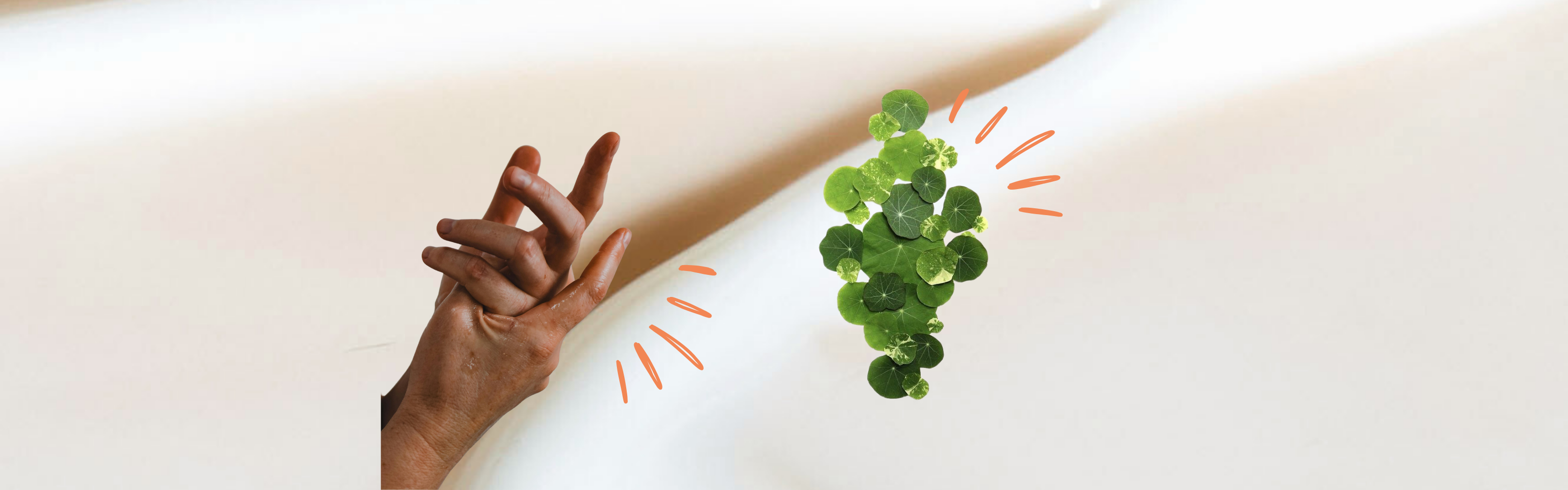 The Perfect Ingredient for Caregivers: How Centella Asiatica Supports Stressed Skin
